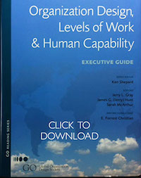 Organization Design Book Cover